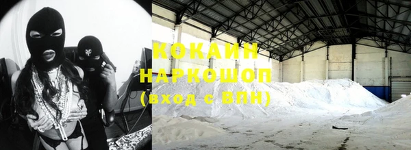 соль ск Новозыбков
