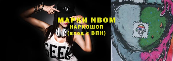соль ск Новозыбков