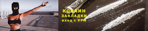 соль ск Новозыбков