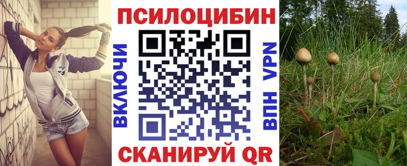 Галлюциногенные грибы ЛСД  блэк спрут ССЫЛКА  Луза 